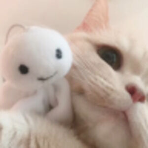 Meet your Posher, Venting